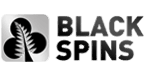 Black Spins Casino